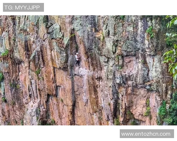 杭州极限运动队在攀岩联赛中以62分稳居积分榜首位