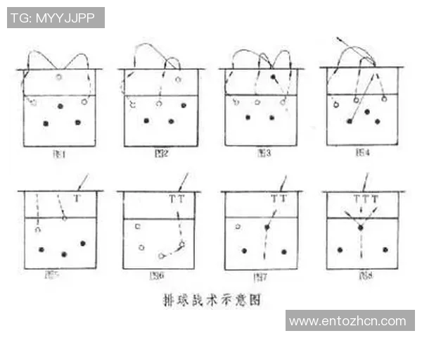 杭州排球队战术解析与对比研究探讨球队发展新思路 杭州排球队战术解析与对比研究探讨球队发展新思路