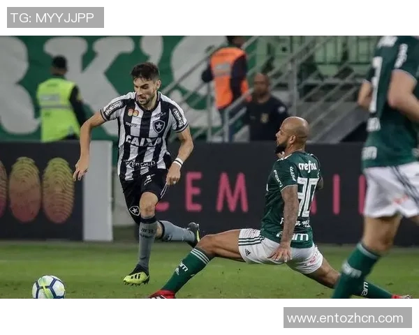 博塔弗戈与国民激战在即球迷期待精彩对决与精彩进球 博塔弗戈与国民激战在即球迷期待精彩对决与精彩进球