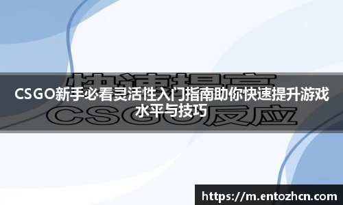 CSGO新手必看灵活性入门指南助你快速提升游戏水平与技巧