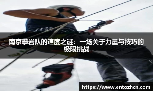 jinnianhui金年会