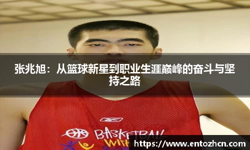 张兆旭：从篮球新星到职业生涯巅峰的奋斗与坚持之路