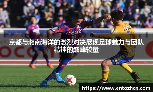 今年会平台入口